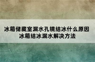 冰箱储藏室漏水孔镜结冰什么原因 冰箱结冰漏水解决方法